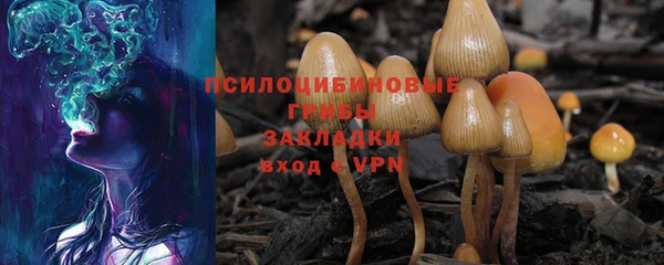 бошки Алексеевка