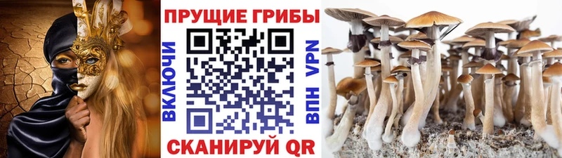 даркнет сайт  Нефтекумск  Псилоцибиновые грибы ЛСД 