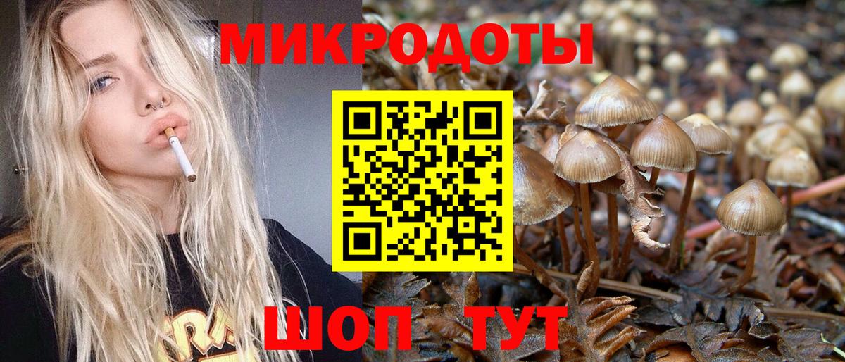Галлюциногенные грибы прущие грибы  Псилоцибиновые грибы Magic Shrooms  Вход с VPN  Нефтекумск 